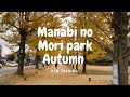 Manabi no Mori Autumn