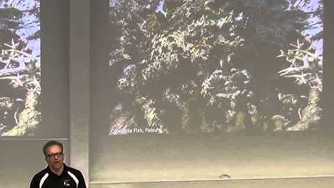 [linux.conf.au 2014] Gtk to Qt - a strange journey