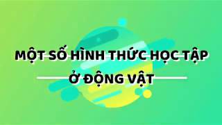 Một số hình thức học tập ở động vật