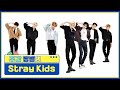 [주간아 짐벌캠] Stray Kids - MANIAC (스트레이키즈 - 매니악) l EP.554