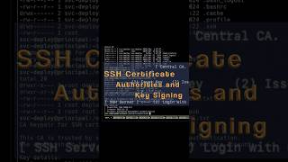 🫢 Wait... An Ex-Employee Took Our SSH Keys?! #sshd #shorts 🫢 Wait... An Ex-Employee Took Our SSH Keys?! #sshd #shorts