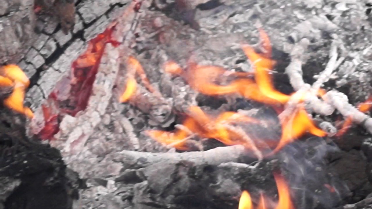 Догорающий костер крупным планом, насколько это ближе возможно его ...