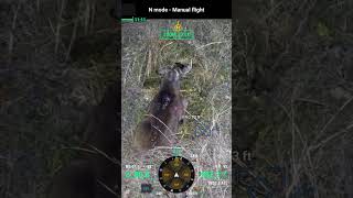 Drone finds wounded buck in minutes! #dronedeerrecovery