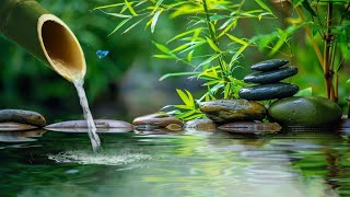 Relaxing music to relieve stress with bird sounds, relaxing Piano, bamboo fountain, Spa, BGM