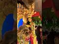 #love #peace #trustonlybhagwan #jagaddhatri #chandannagar #krishnanagar #nadia #love #travel