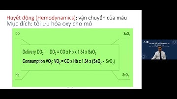 Siêu âm khảo sát huyết động trong hồi sức cấp cứu
