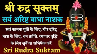 Shri Rudra Suktam | श्री रुद्र सूक्त | सर्वारिष्ट बाधा नाश के लिए सुनें या महादेव का अभिषेक करें