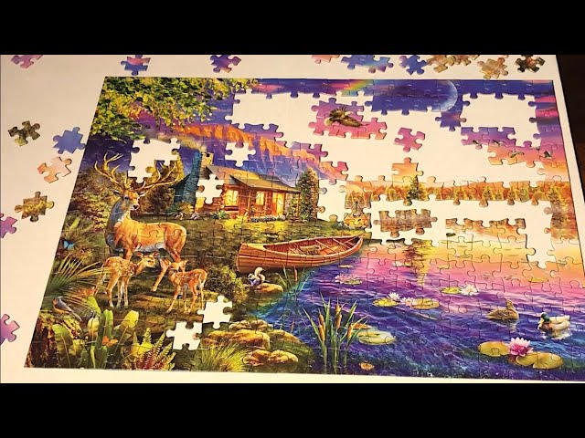 Timelapse of 3000 piece Harry Potter puzzle 