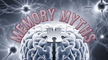 Memory Myths Busted: What Actually Works?