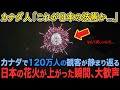 【海外の反応】カナダで120万人の観客が静まり返る日本の花火が打ち上がった5秒後、大歓声