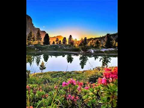 يا رب شهوتة ساعة قد اعقبت