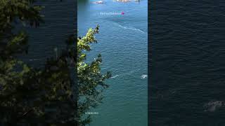 Udd Gaya B Praak Song Status   Tere Naal Judeya Nai Rabb Naal Jodh Gya Tera Chehra Jad shorts