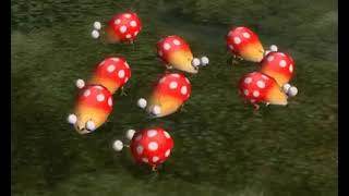 Dwarf Bulborbs sniffing the ground