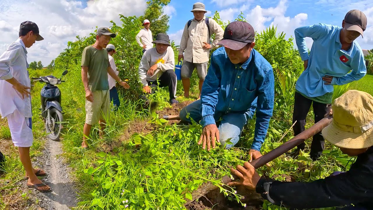 Những người trong xóm đều bất lực và sợ hãi trước con Rắn, thường xuất hiện lối đi |TGSB #696