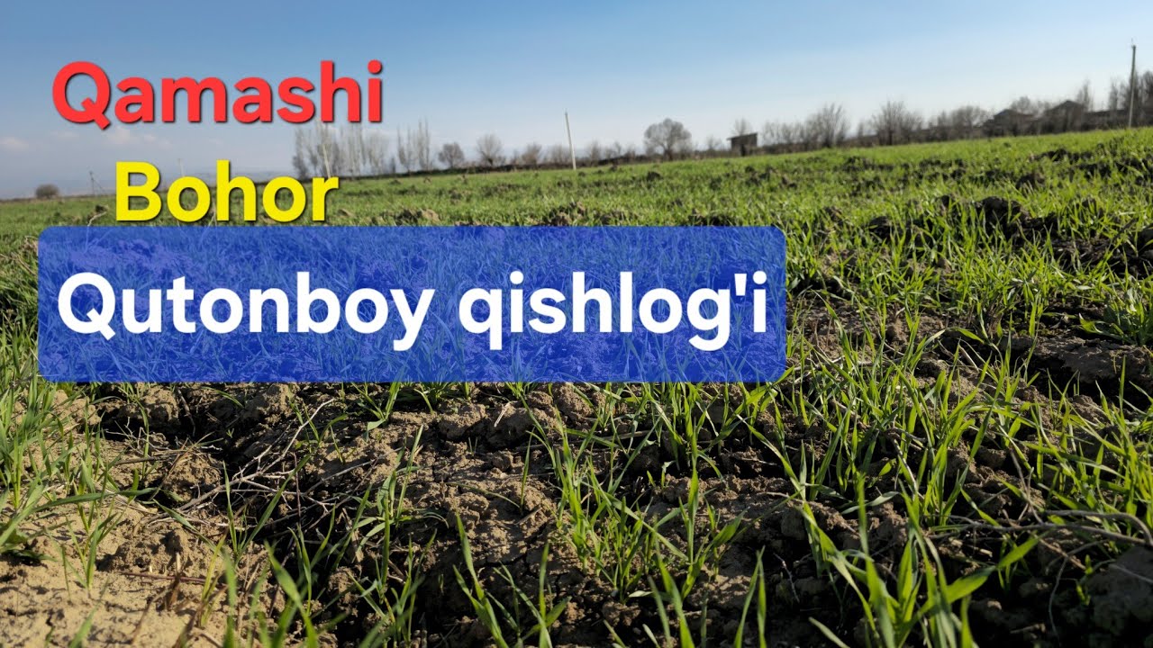 Ob-havo bu yil zur buldi