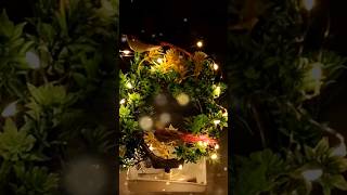 😍 Artificial Bonsai with Light 🌿 Budget Decor meesho #shorts#meeshow#unboxing#meeshofinds#viral#haul