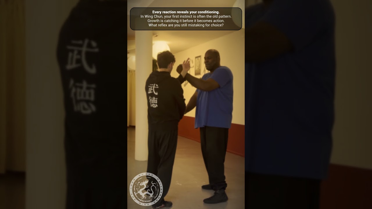 Wing Chun Den Haag 👉 wudae.com 👉 Body & Mind Connection 💥 Gratis proefles 💥 Free Trial class