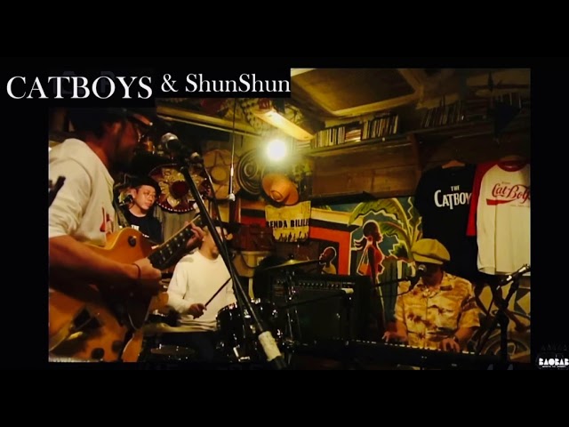 今夜は最高 (Short Version) - Shun Shun & CAT BOYS - YouTube