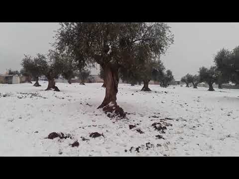 اتمنا حدا يسعدتا مشان لله يشباب ولله الوضع صفرررر الخيم كله مكشمة