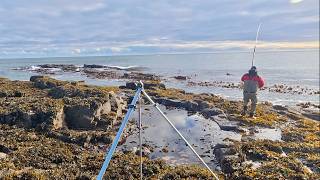 Cod, Kelp, Big Tides & Rough Ground! | Northumberland Cod Fishing | UK Shore Fishing for Cod