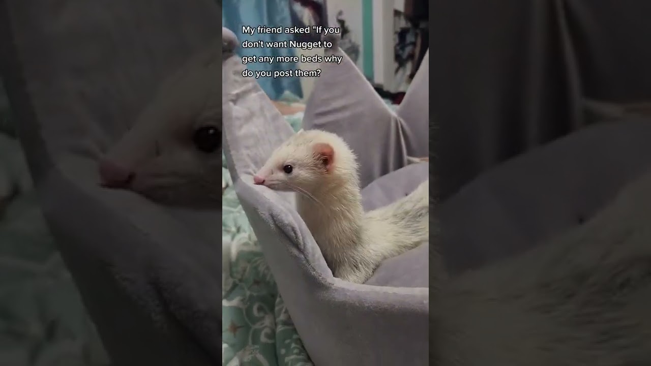 And now she has a throne