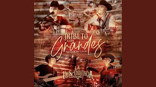 Sentimental (Session Live)