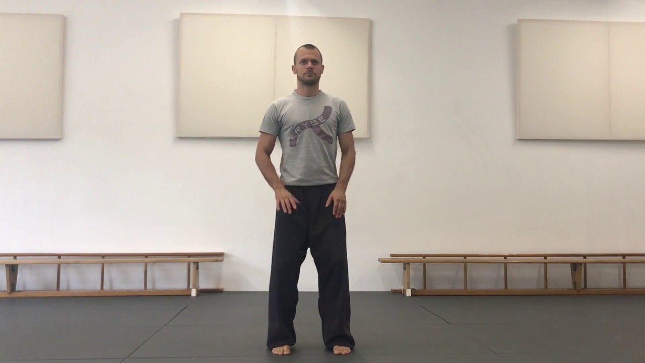 Spinal Mobility - Rotations