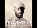 Thumbnail for Theo Parrish - Thug Irony