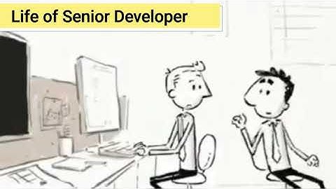 Life of Senior Developer funny video