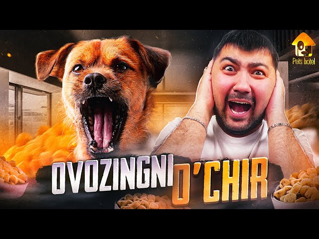 Dostlar xotinini ovlash video Dostlar xotinini ovlash video