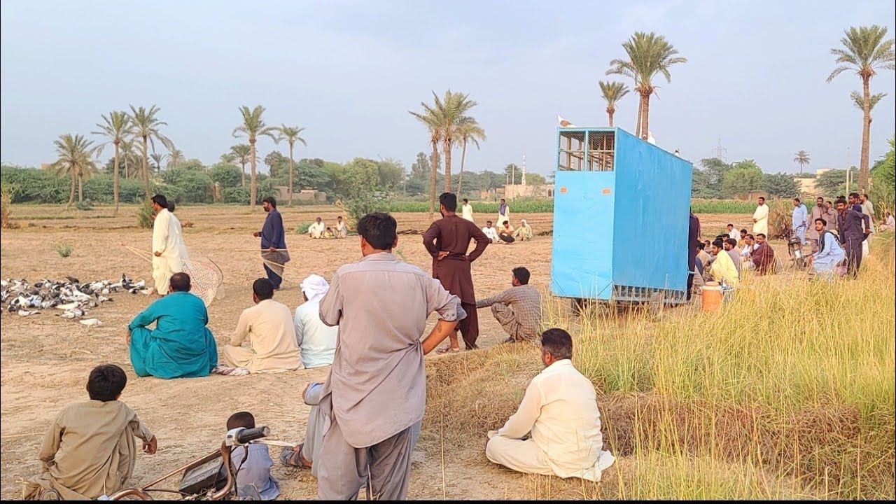 500 Kabotar Aj To Sari Game hi Ulti Ho Gai Bara Muqabla Ban Gaya Sir Gar Pr