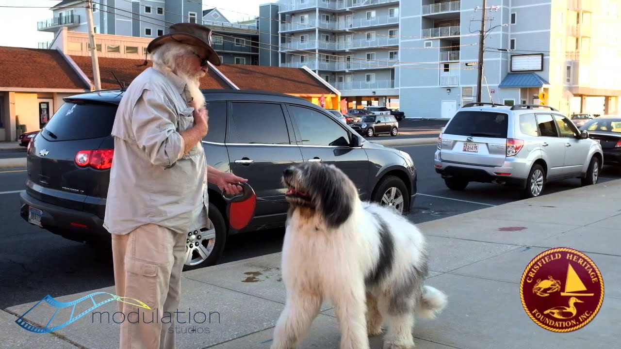 Crisfield Third Thursday November 19th Promo - YouTube