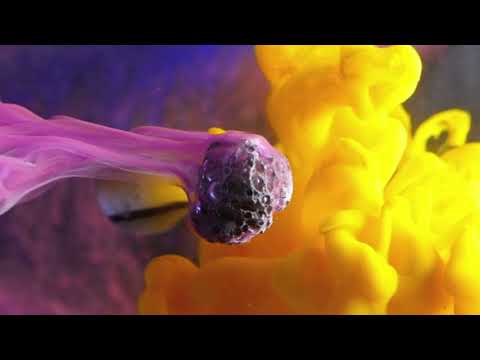 Ink Illusion by Macro Room