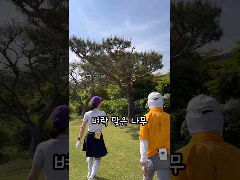 LG가 운영하는 명문골프장 곤지암GC #<strong>곤지암cc</strong> #골프장 #회원제골프장 #김민교