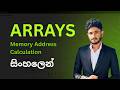 Arrays in Sinhala | Memory Address Calculation & Basics