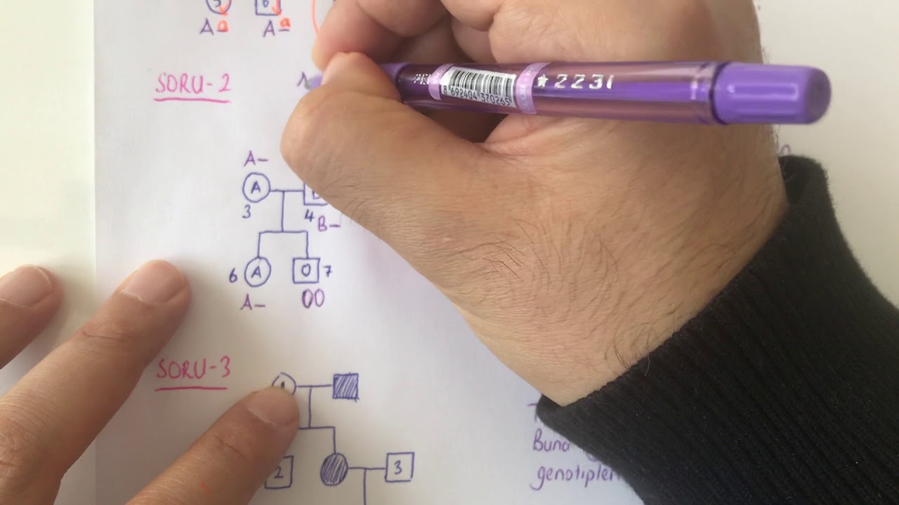 Kalıtım-10-Soyağaçları