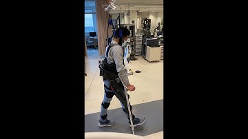Adaptive CPG-based Gait Planning with Torque Estimation and Control for Lower-limb Exoskeletons