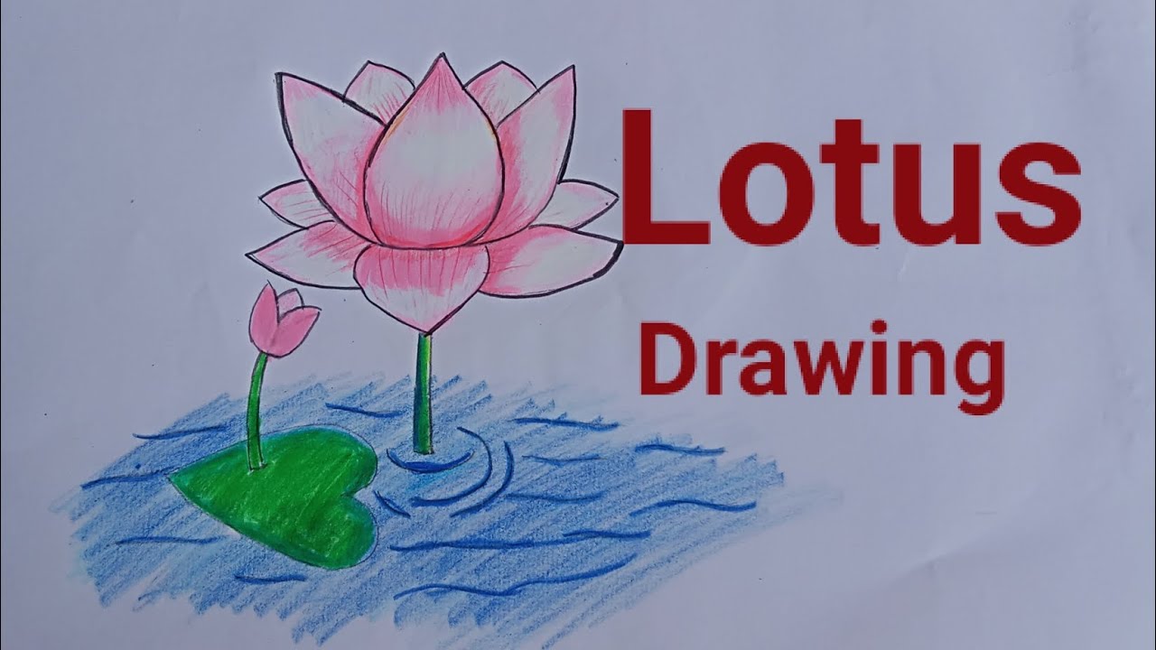 How To Make A Lotus Drawing Easy||drawing pictures of lotus flower||