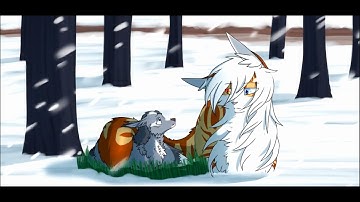 HOLY Completed OC AMV/PMV M.A.P