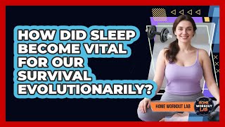How Did Sleep Become Vital For Our Survival Evolutionarily? - Home Workout Lab