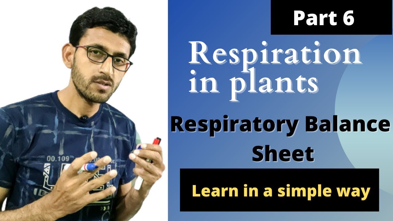 Respiration In Plants Respiratory Balance Sheet NEET 11th Biology