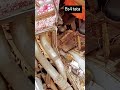 Tata bs4 ecm #shortvideo