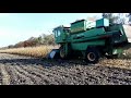 Обмолот кукурузы/ДОН 1500Б