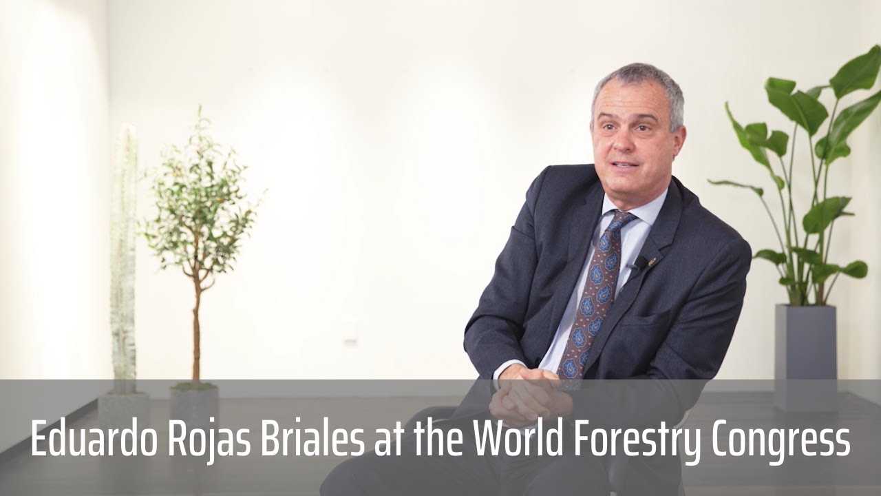 Interview with Eduardo Rojas Briales at the World Forestry Congress