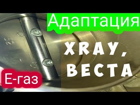 Адаптация Е-газ Xray