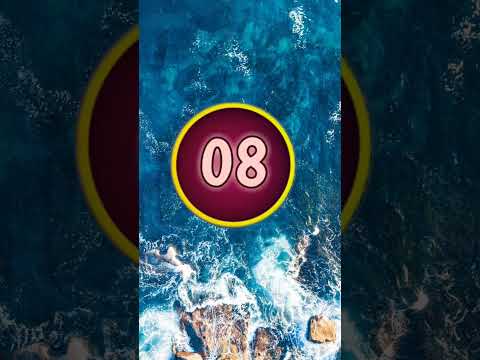 ما هي الدولة التى نسبة الأمية فيها صفر بالمئة