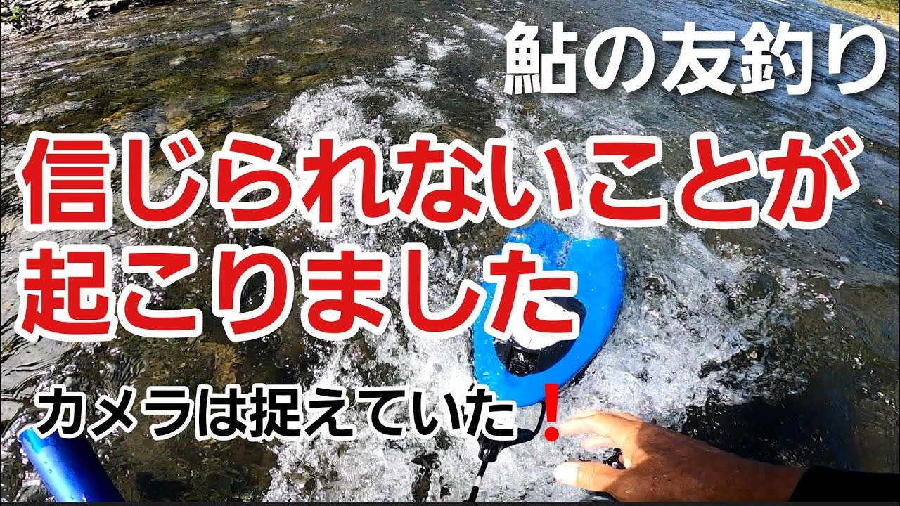 NO52  こんなこと私の鮎釣り人生で初めてです！呪われた○○　【友釣りオレ流】