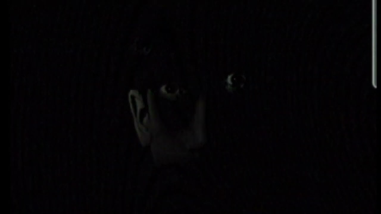 (FNAF VHS) "The argument"