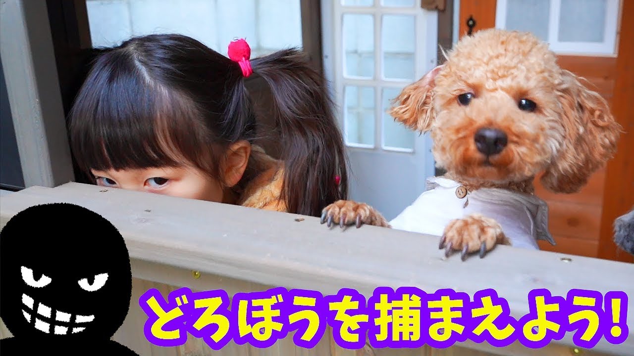 【寸劇】お料理ごっこ！お肉を食べた犬を捕まえよう！ - はねまりチャンネル