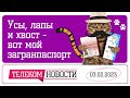 «Телеспутник-Экспресс»: нет чипов - нет загранпаспортов и подслушивают ли умные колонки «Яндекса»
